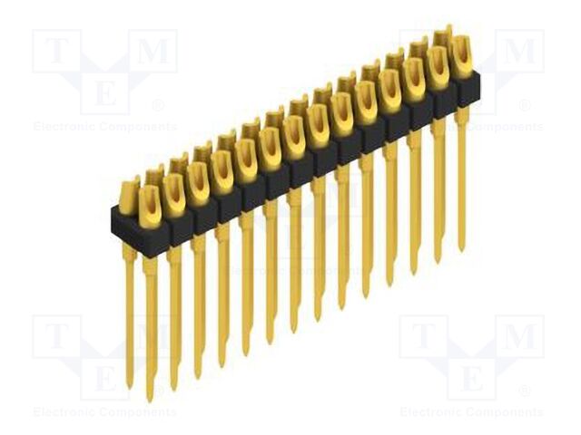 MK21028G MK21028G