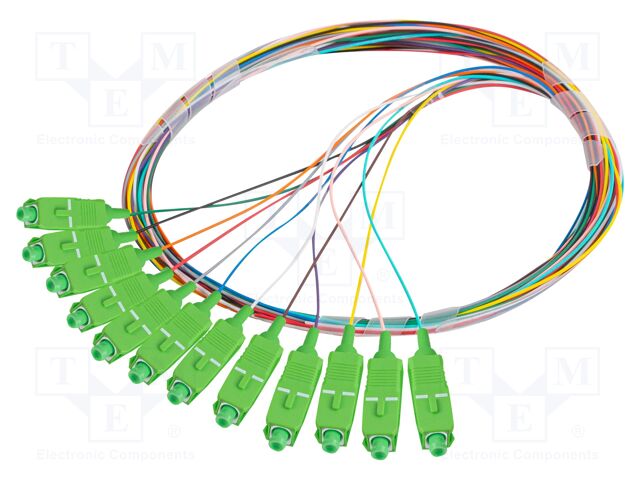 FP-SCAP-SE21-1202-MC FP-SCAP-SE21-1202-MC