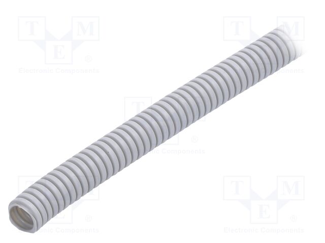 444024 -AS 444024 -AS