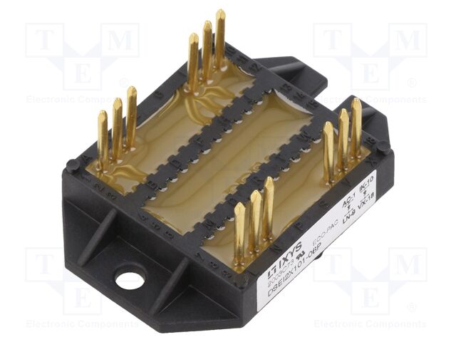 DSEI2X101-06P DSEI2X101-06P