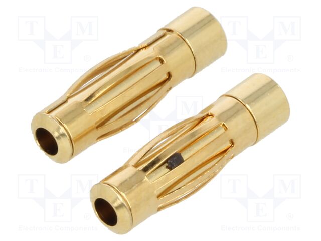 BM T4S BM T4S