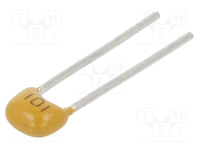 CT40805N101J500F1R CT40805N101J500F1R