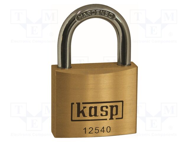 K12540 K12540