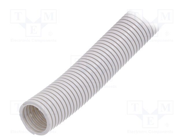 444039 -AS 444039 -AS