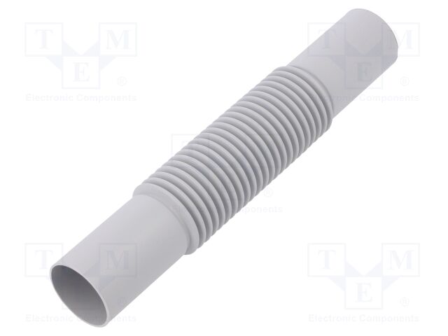 444081 -AS 444081 -AS