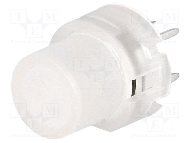 KS01-BLV-4 KS01-BLV-4