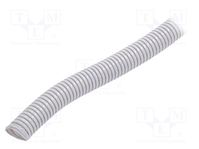 444025 -AS 444025 -AS
