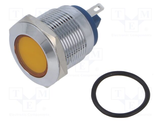 IND19-12Y-C IND19-12Y-C