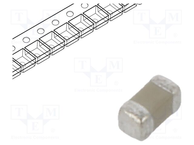 0402B101K500CT 0402B101K500CT