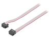 DS1052-062B2NA206001 | Ribbon cable with IDC connectors; 6x28AWG; Cable ph: 1.27mm