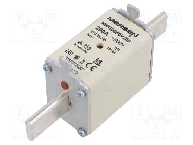 NH1GG50V200 NH1GG50V200