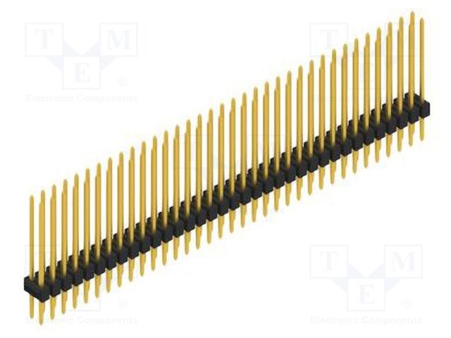 SL217970G SL217970G