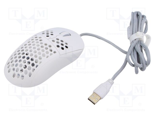 RIFTWHITE RIFTWHITE