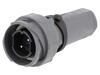 PXP7011/02P/ST1113