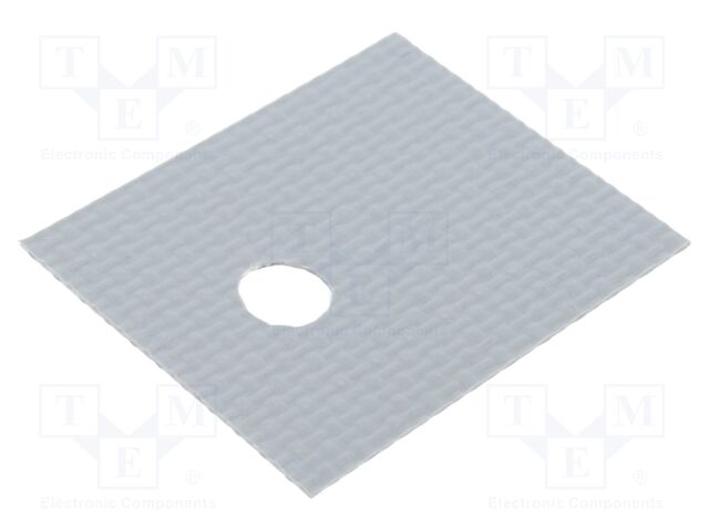SI489 SI489