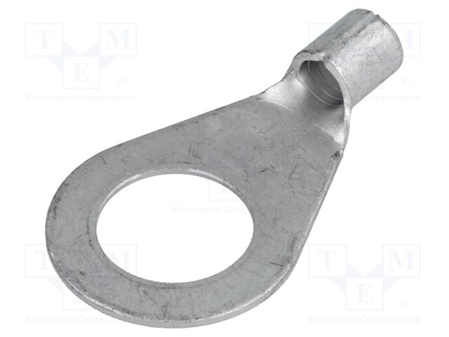 BM 02561 BM 02561
