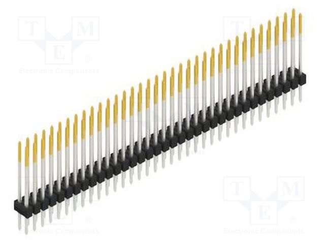 SL217970S SL217970S