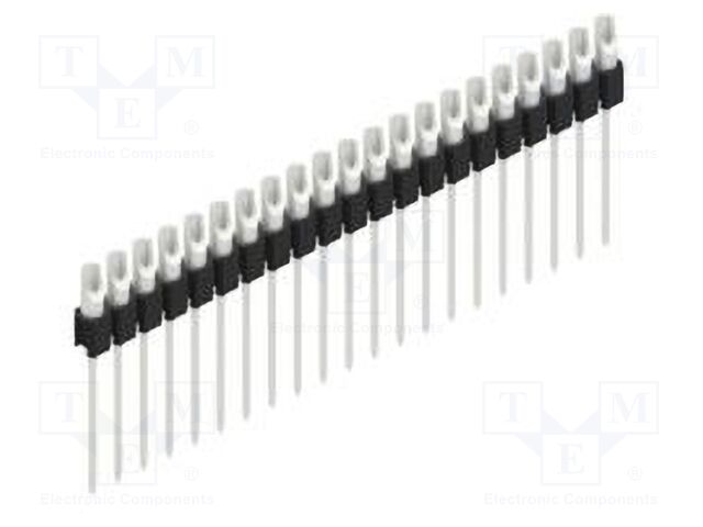 10040545 10040545