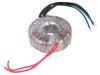 TST100W/2X9V