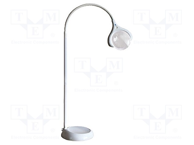 E25050 Daylight Company Desktop, Daylight Floor Lamp With Magnifier
