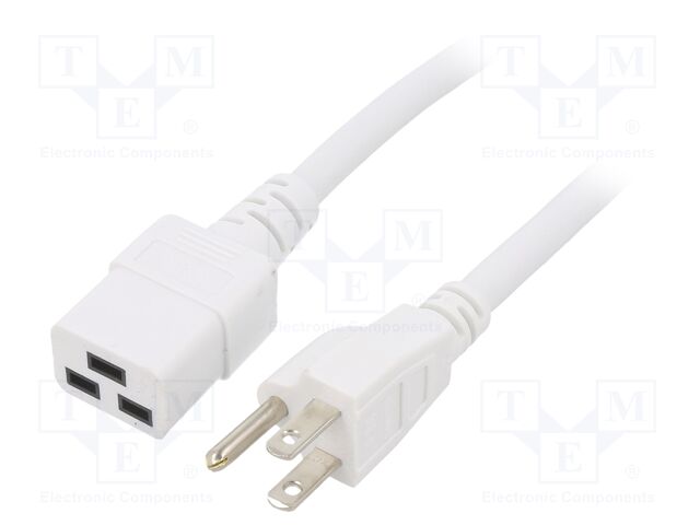 LT-202+549 SJT 14/3 60C WHT 1M LT-202+549 SJT 14/3 60C WHT 1M
