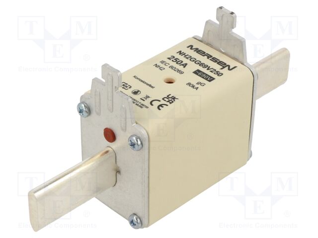 NH2GG69V250 NH2GG69V250
