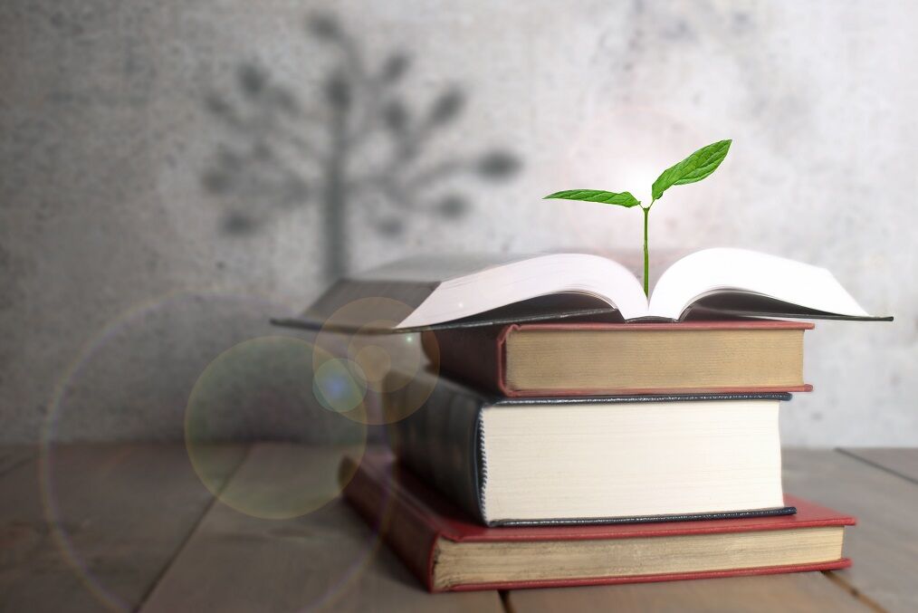 The importance of education - when a society and a unit grow as one.