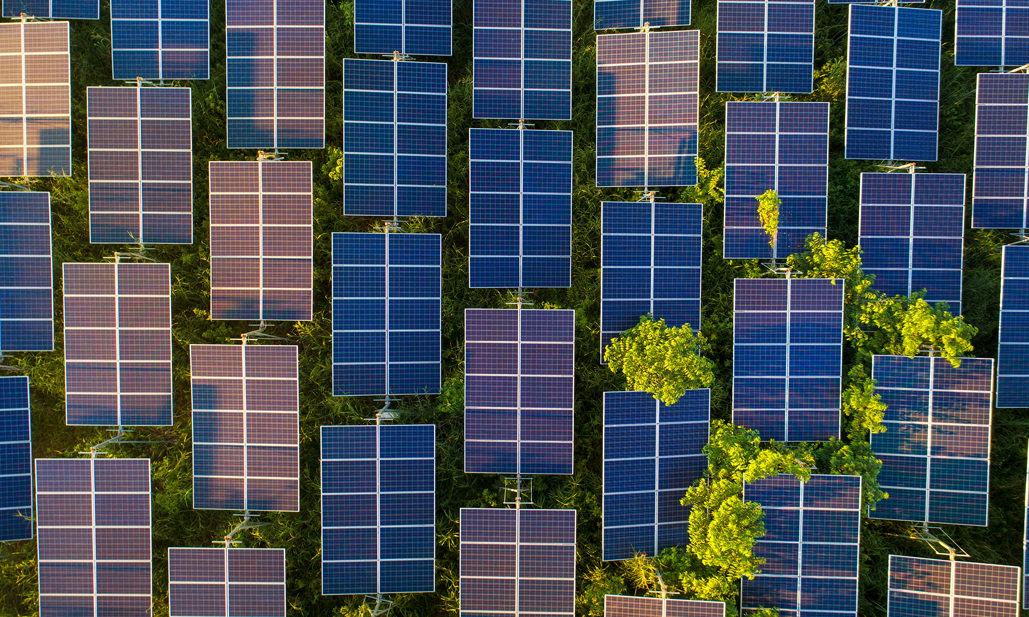 Photovoltaic (PV) modules – the principle of photovoltaic cell operation