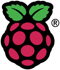 RASPBERRY PI - logo