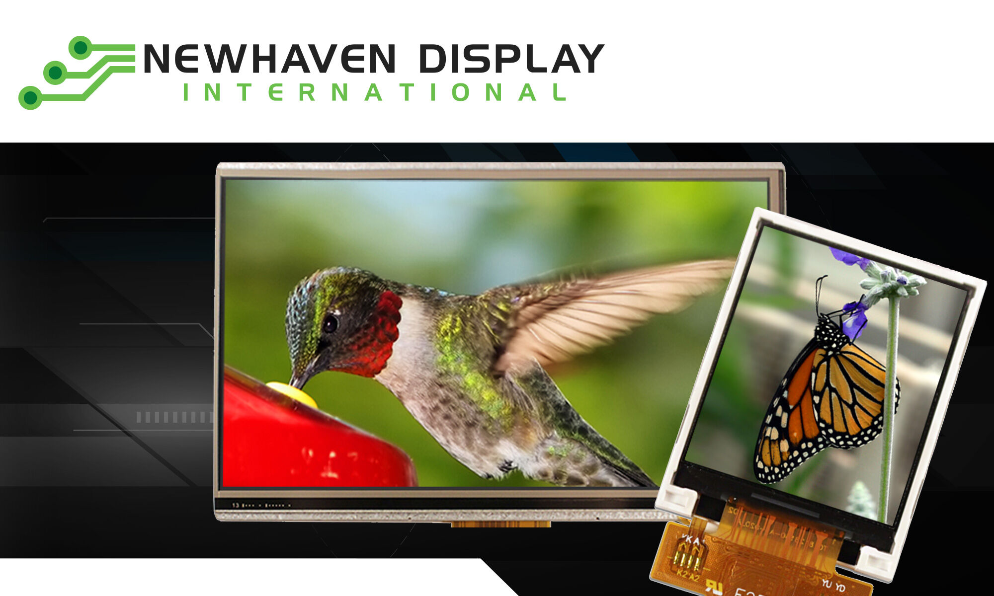 Newhaven range of displays