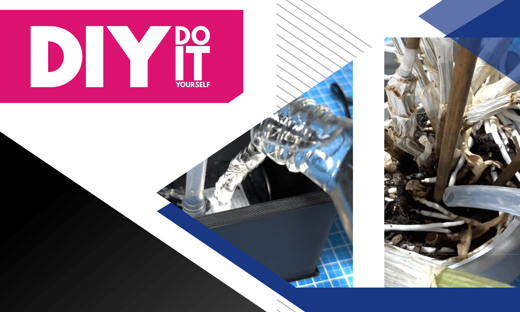 建造一个植物浇水系统