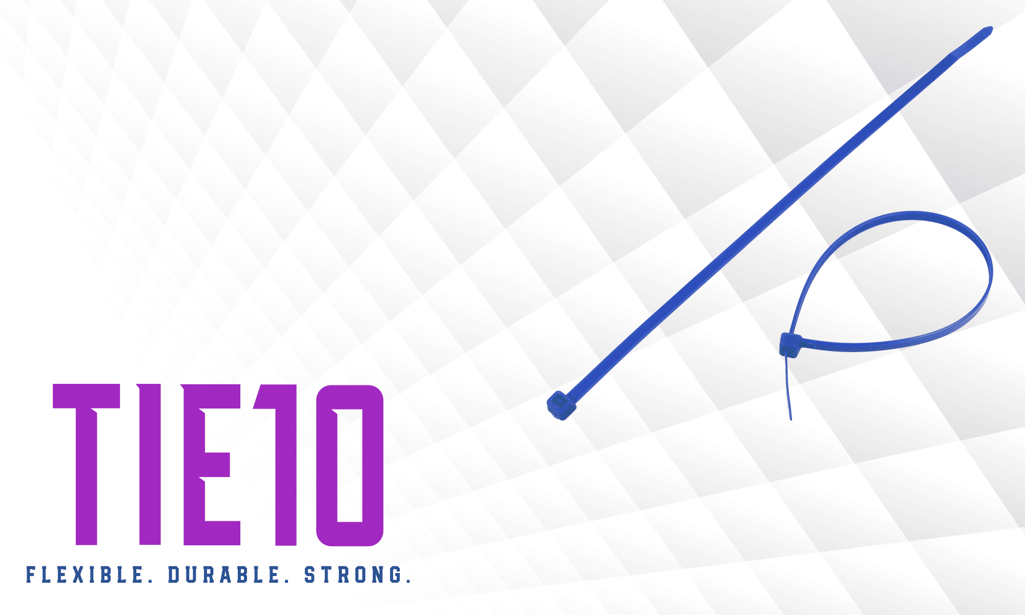 TIE10品牌MetalSense可检测扎带