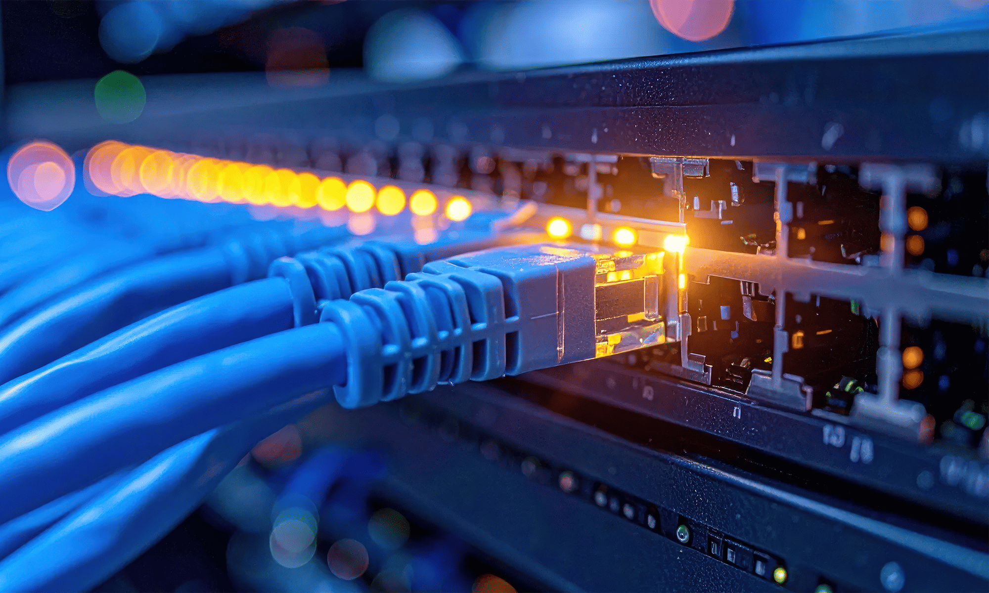 How to choose the length and type of network cable? - CAT5e, CAT6, CAT6A, CAT7 – differences and applications
